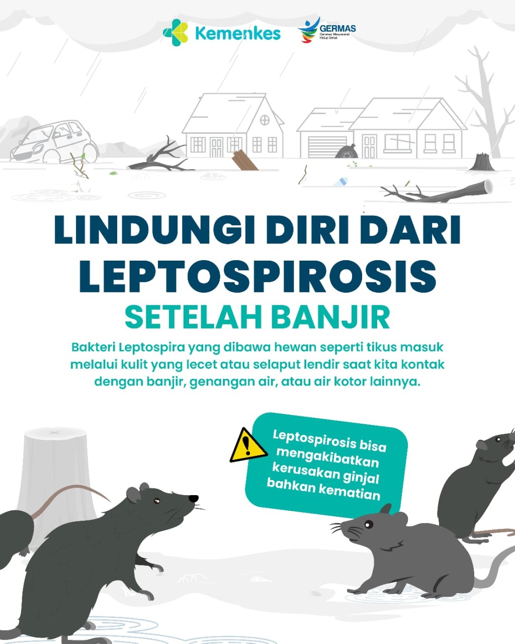 Waspada Penyakit Leptospirosis ‼️