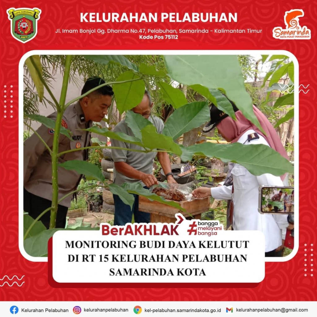Monitoring budidaya kelulut di rt 15