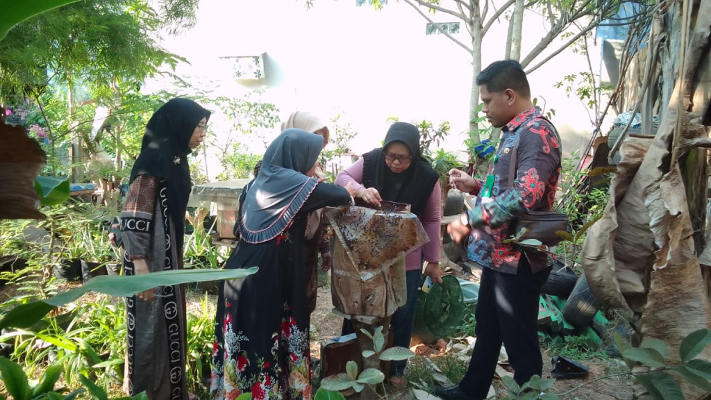Budidaya Kelulut