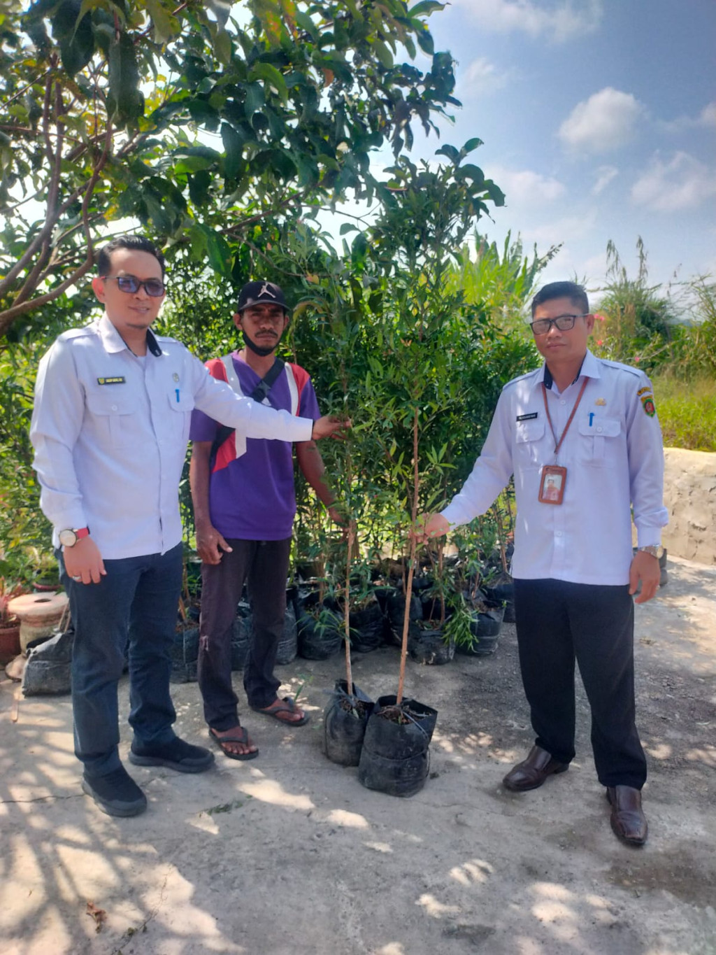 Penerimaan Bibit Pohon dari DLH