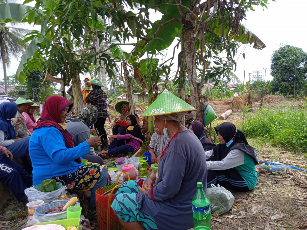 Pembukaan Lahan Pertanian Pekarangan