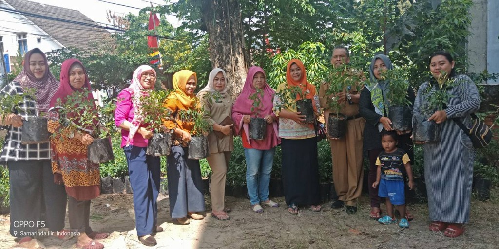 Kecamatan Samarinda Ilir Menerima Dan Mendistribusikan Tanaman Cabe / Lombok