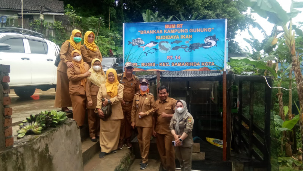 Monitoring Probebaya di Kelurahan Bugis