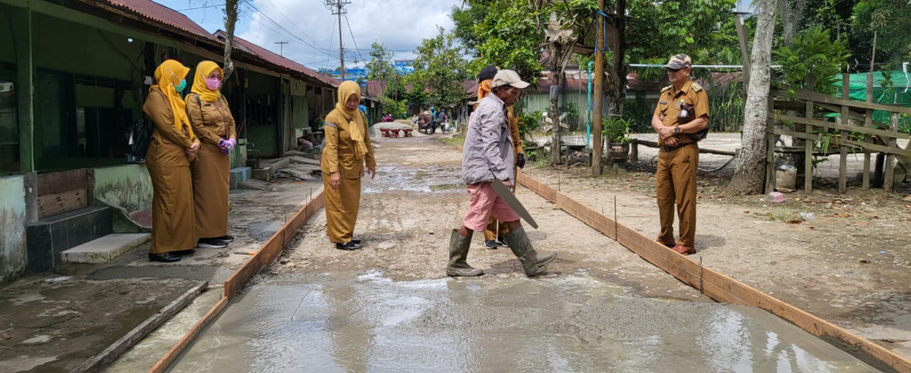 Peninjauan Semenisasi Jalan RT. 11 dan Jalan Gang RT. 07