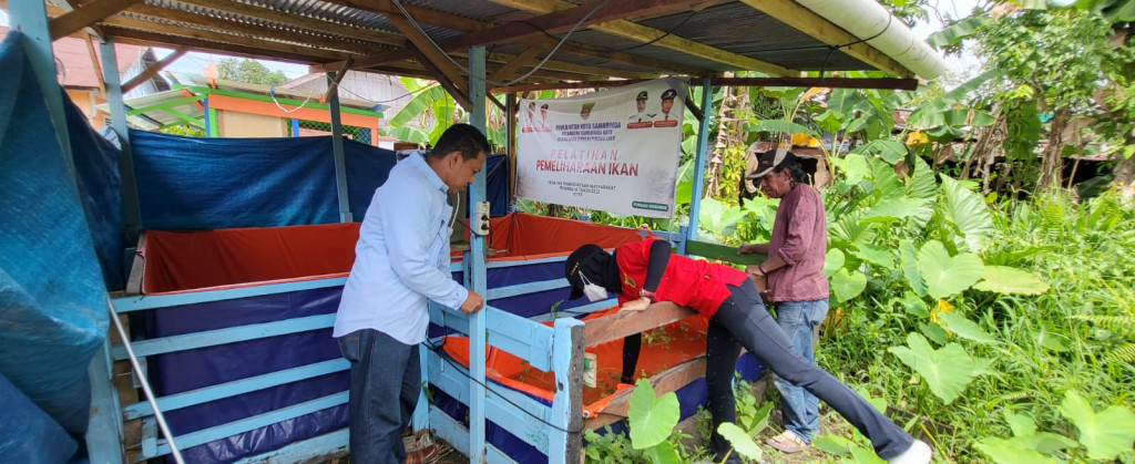 Probebaya Pemeliharaan Ikan