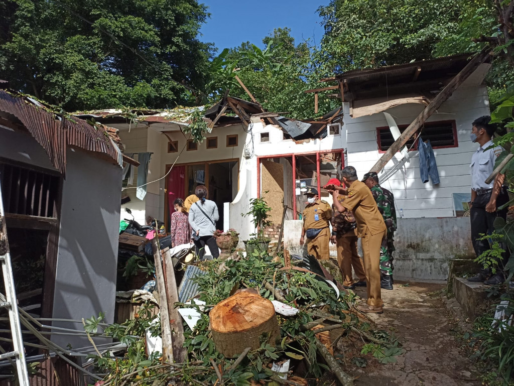Peninjauan musibah Pohon Tumbang