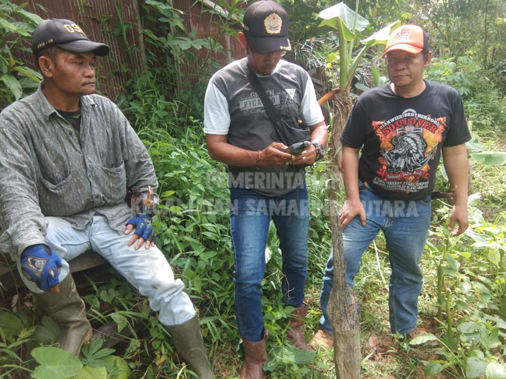 Peninjauan & Pengkuruan Tanah Sengketa