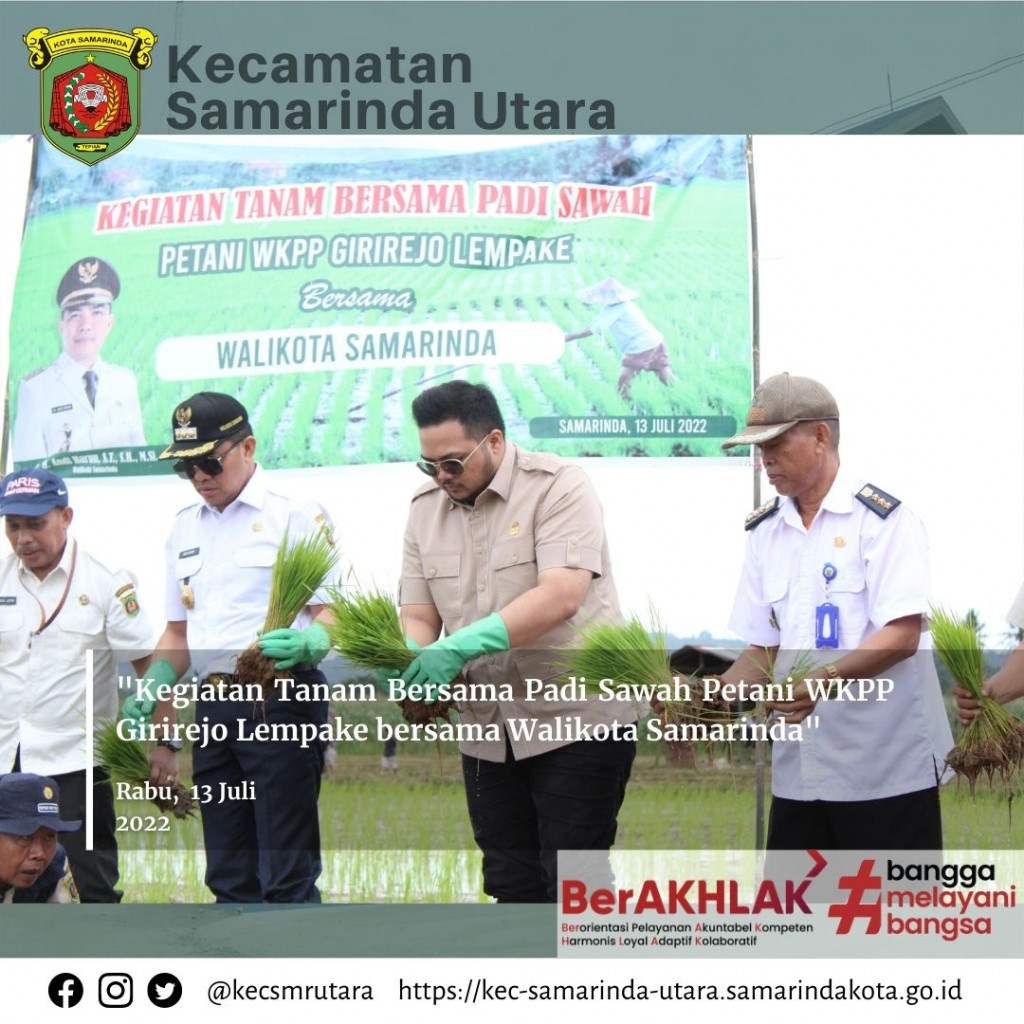Kegiatan Tanam Bersama Padi Sawah Petani WKPP Giri Rejo Lempake Bersama Walikota Samarinda