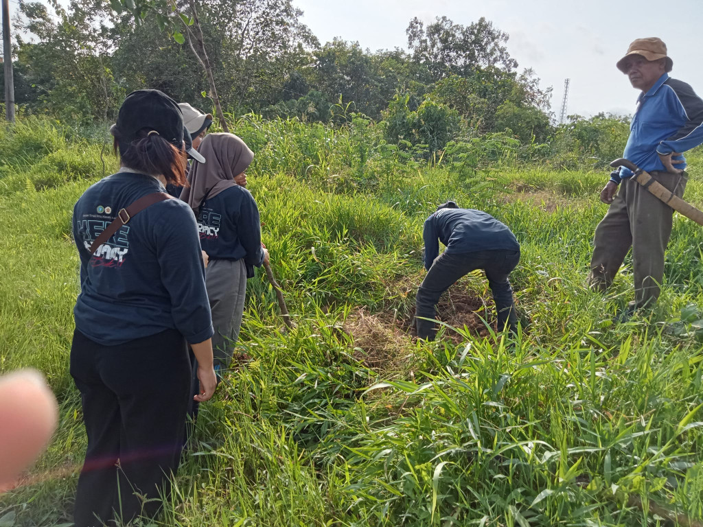 Penanaman Pohon Tanjung di kawasan Jl. Telkom RT 19 Sambutan