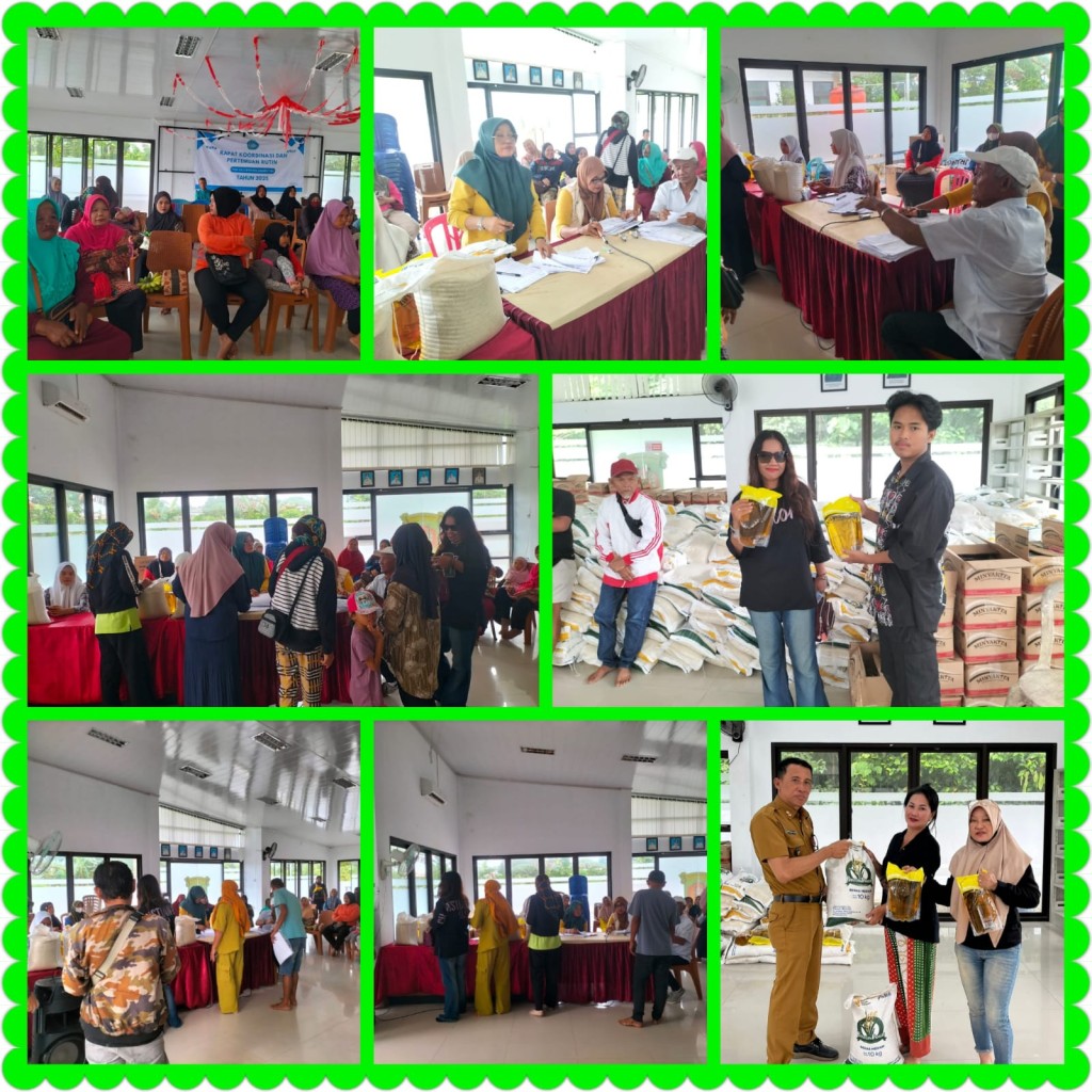 Penyaluran bantuan CPP bulog  hari pertama   20 November 2025