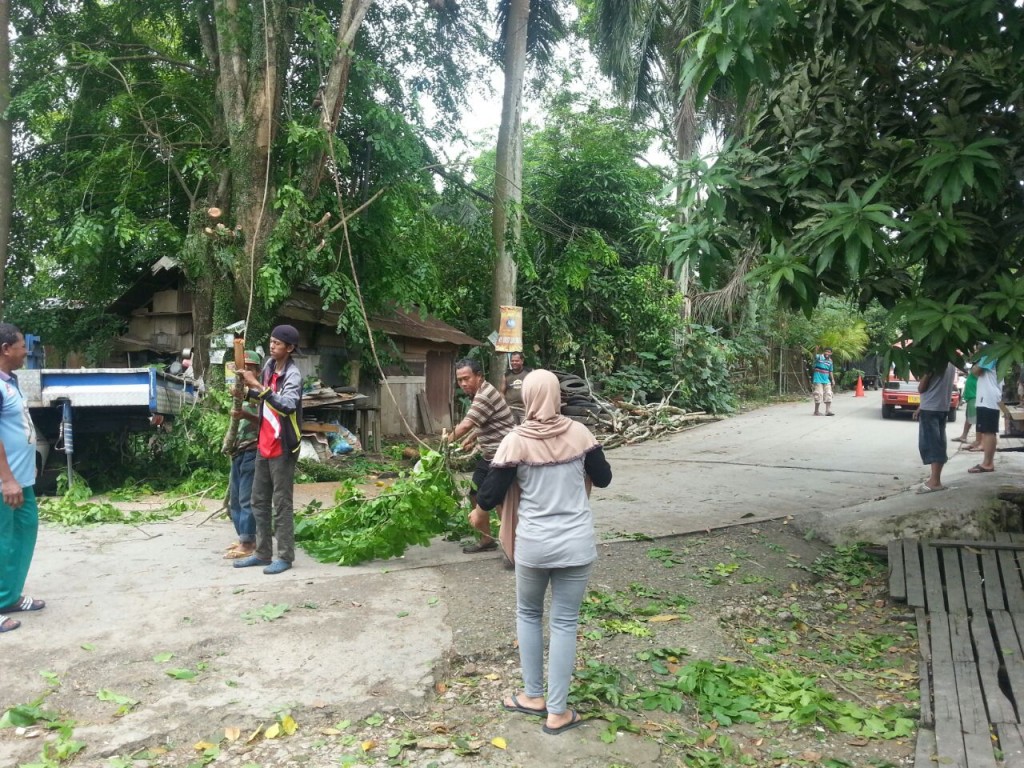 Pemotongan Pohon oleh Dinas Kebersihan dan Pertamanan beserta lurah selili dan RT Dan Warga Sekitar