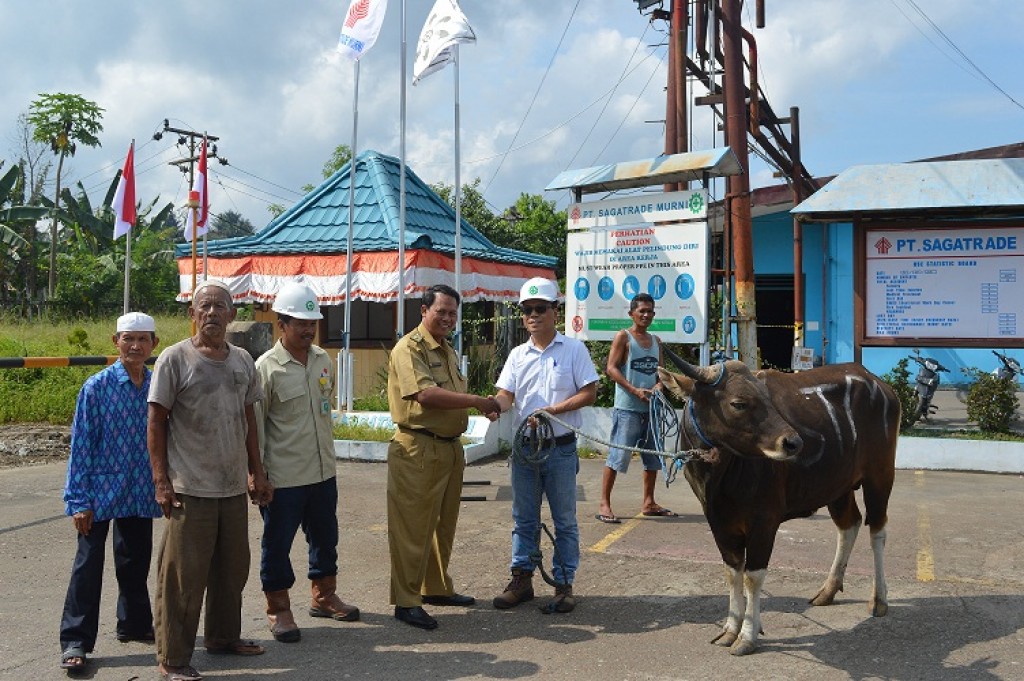 Bantuan Hewan Qurban dari PT Sagatrade Murni