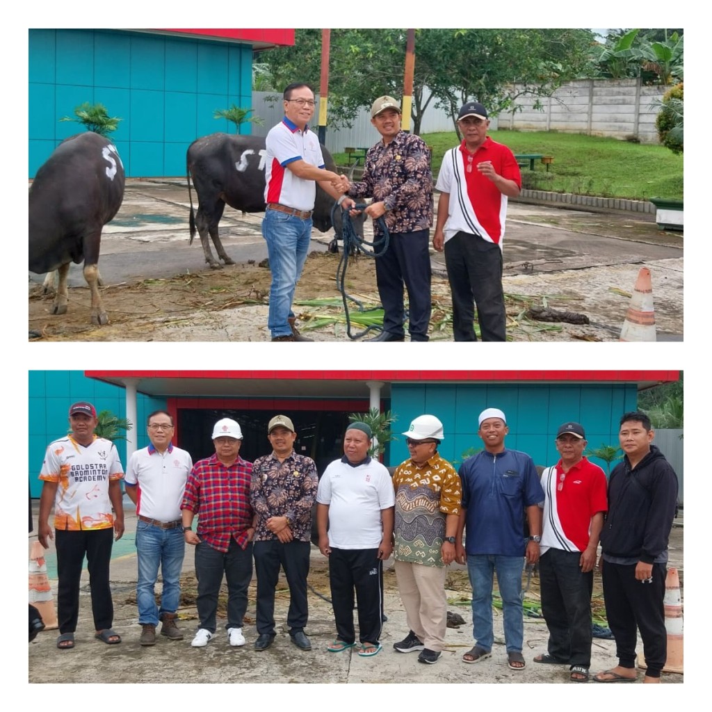 PT. Sagatrade Murni Serahkan 2 Sapi untuk Qurban di Kelurahan Selili Menjelang Idul Adha