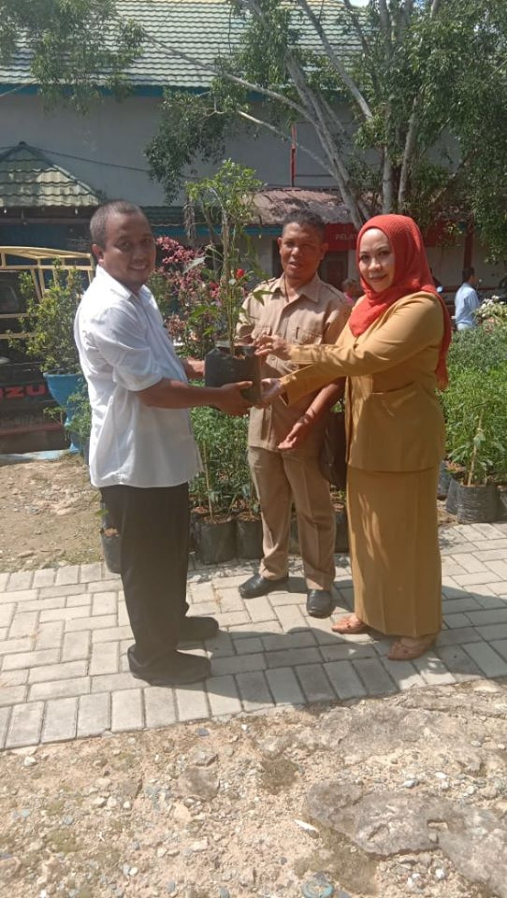 Penyerahan 100 Bibit Lombok Siap Tanam