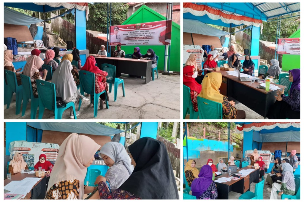 Peningkatan Kapasitas Kader Posyandu balita kasih ibu &  Posyandu Tulip Lansia