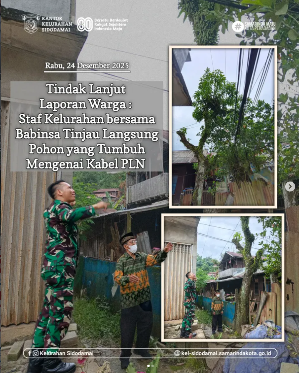 Survei dan Penanganan Pohon Rawan Gangguan Kabel PLN di RT 27 Kelurahan Sidodamai