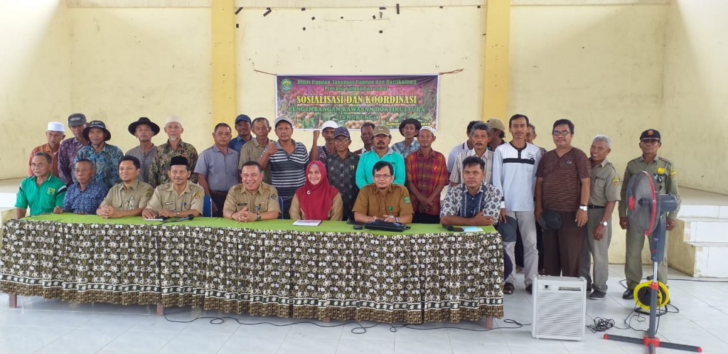 Sosialisasi dan Koordinasi Pengembangan  Kawasan Hortikultura (Lengkeng)