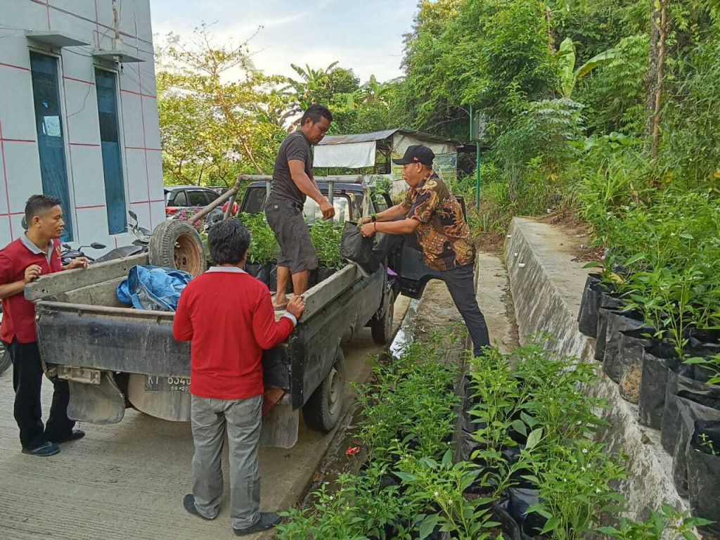 Penyerahan Bibit lombok dan tomat kepada Dasawisma RT