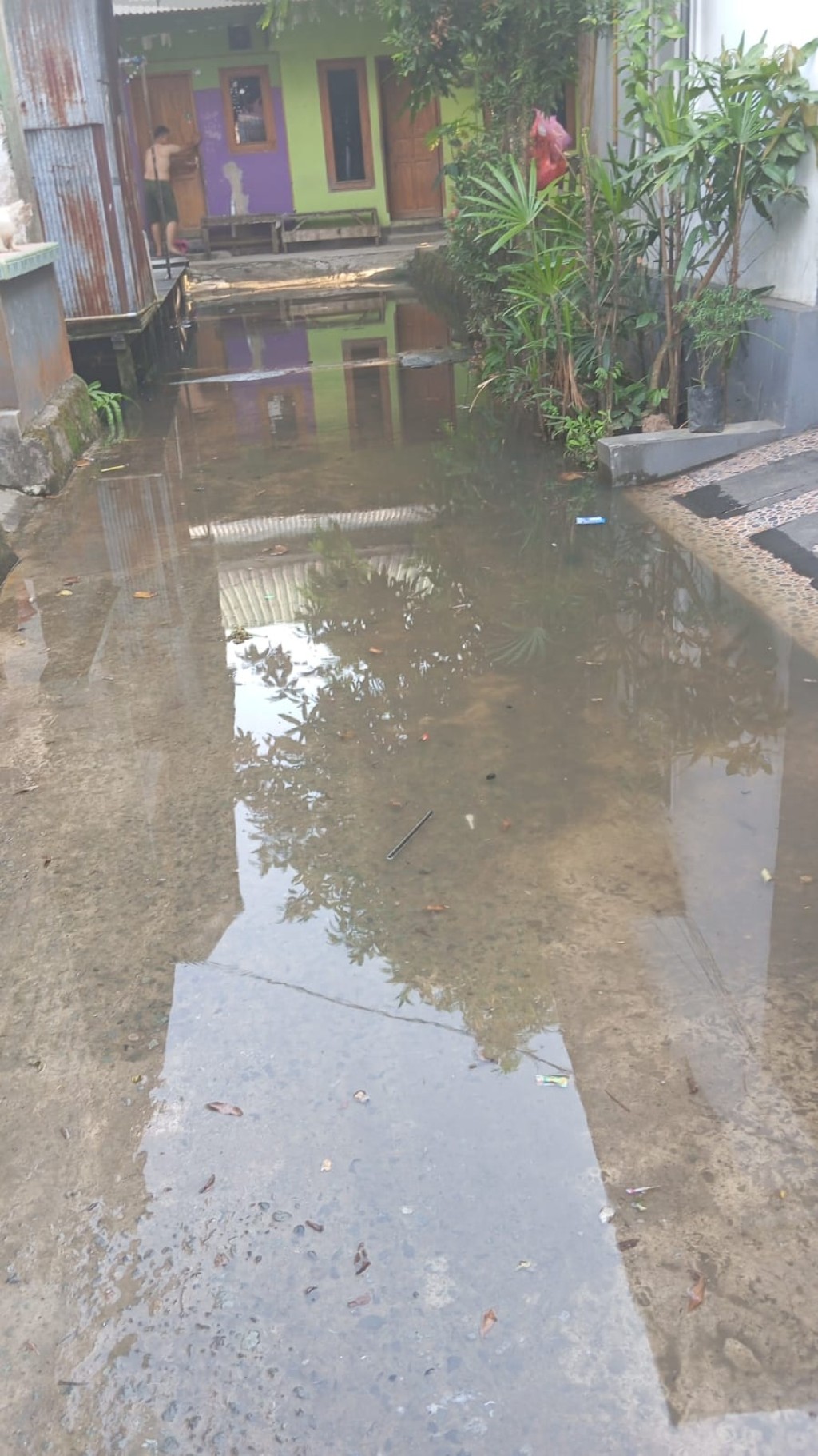 Kegiatan Kelurahan Sungai kapih Kamis Tanggal 31 Oktober 2024