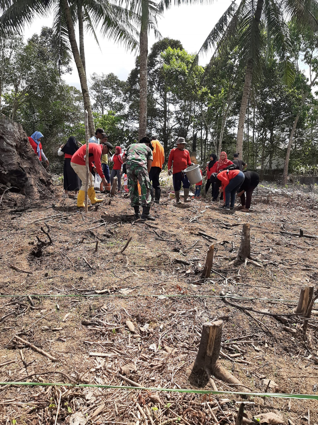 KETAHANAN PANGAN PEMANFAATAN LAHAN PEKARANGAN