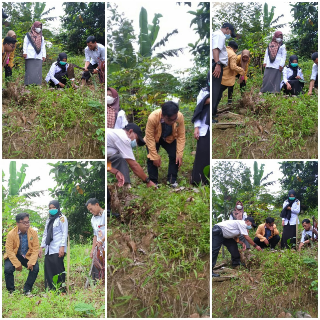 Penanaman Pohon Dalam Rangka HKG Ke-50