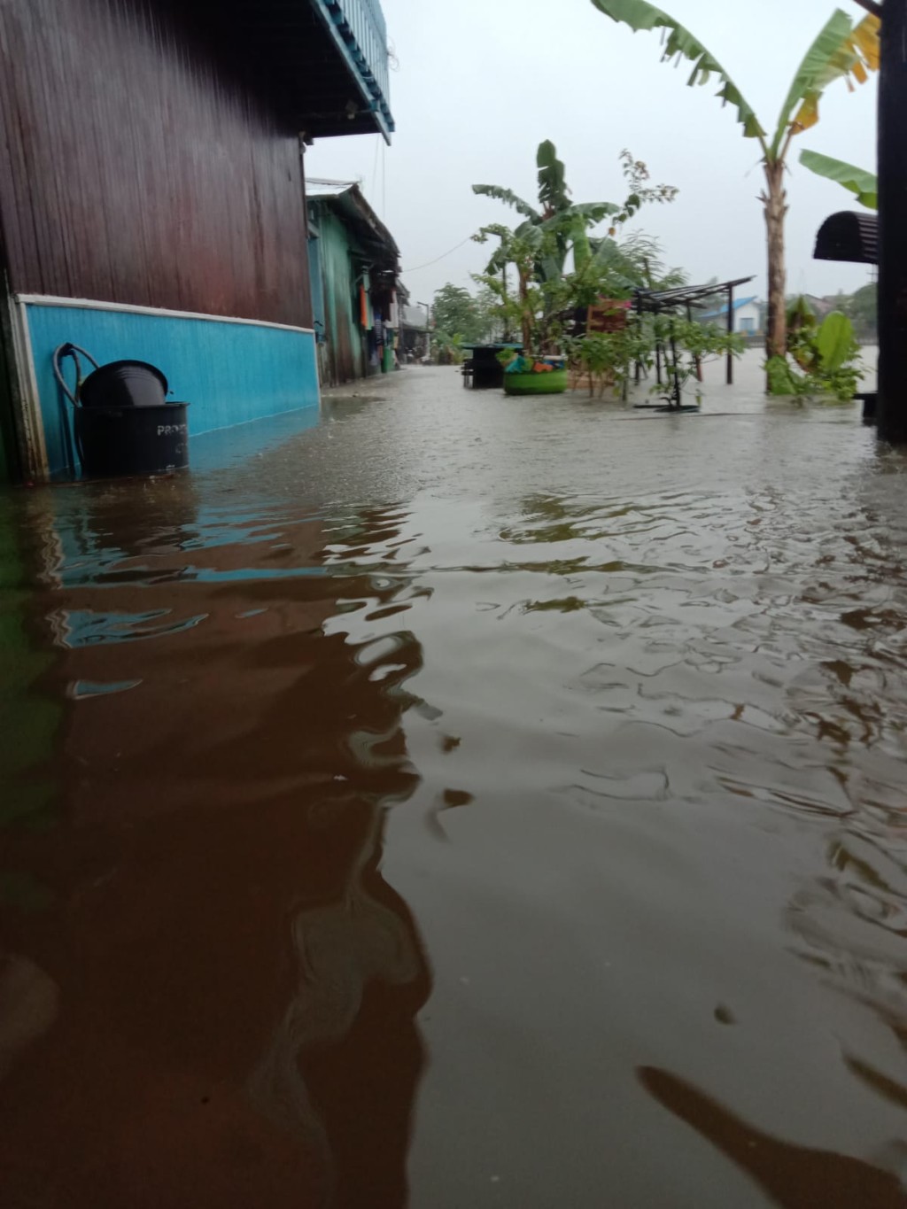 Banjir Rendam Hampir Seluruh Wilayah Temindung Permai dan Sekitar Samarinda