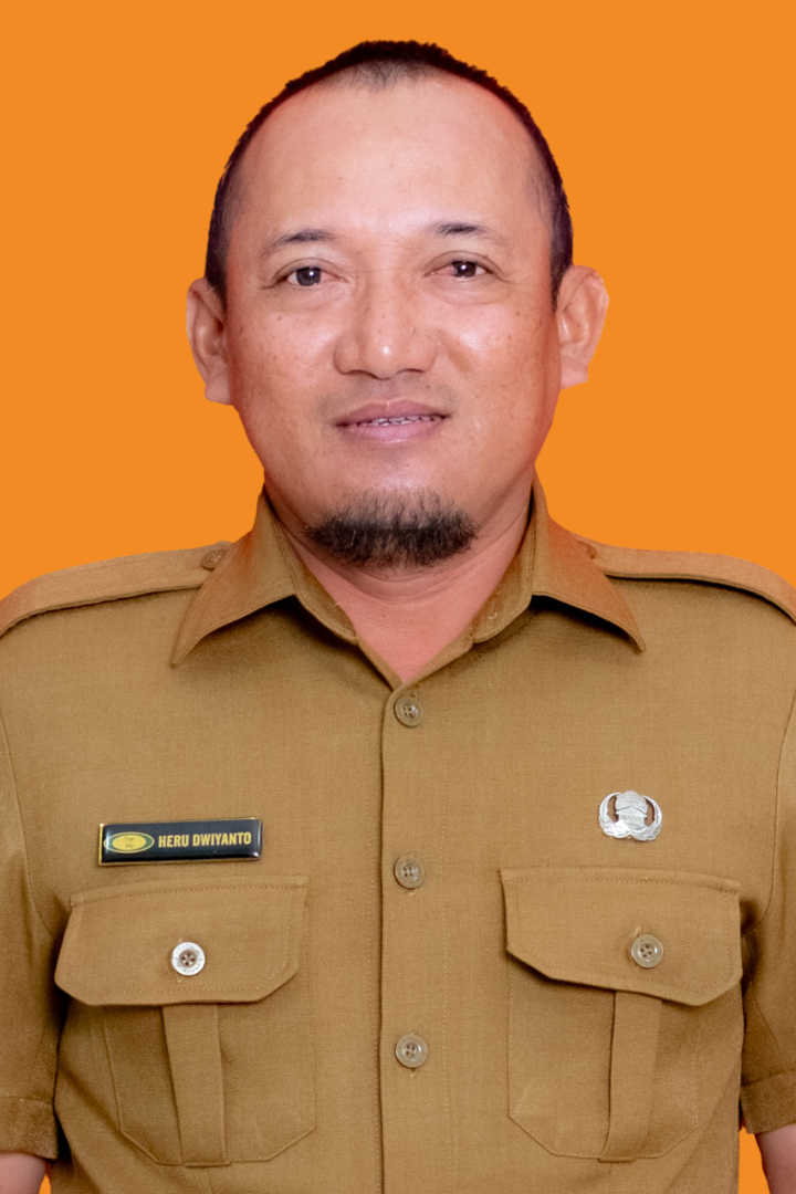 HERU DWIYANTO, S.Sos