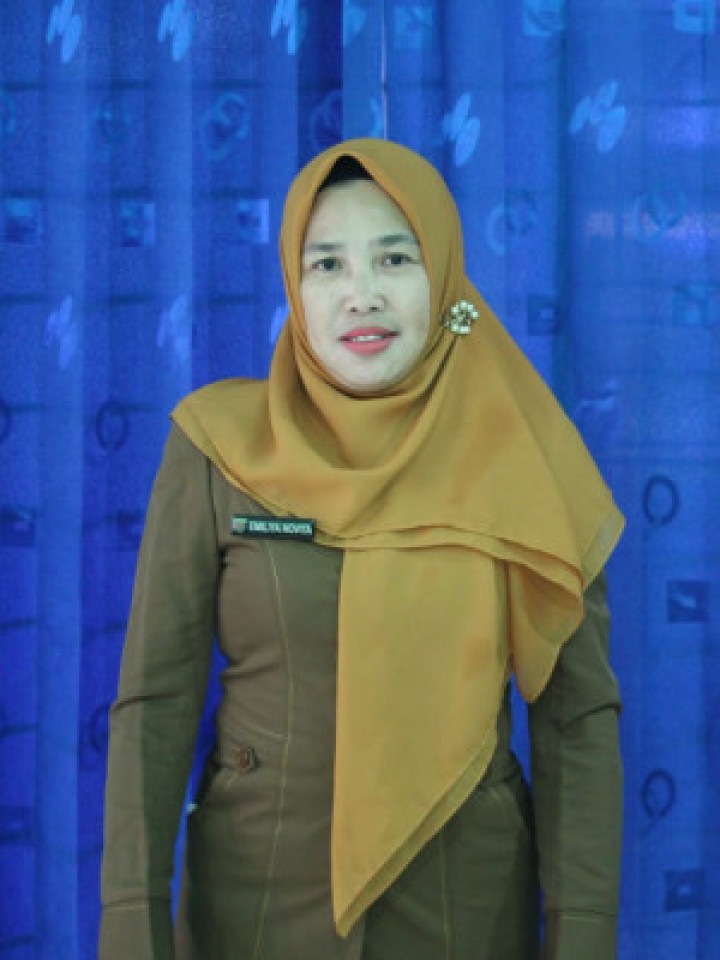 EMILIYA NOVITA, S.Sos