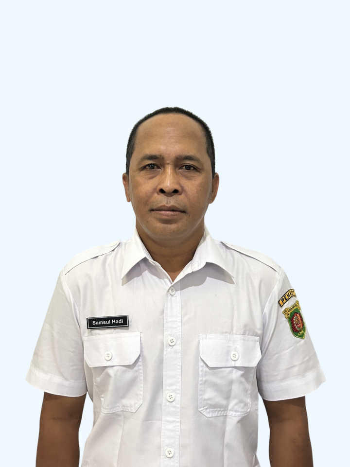 SAMSUL HADI