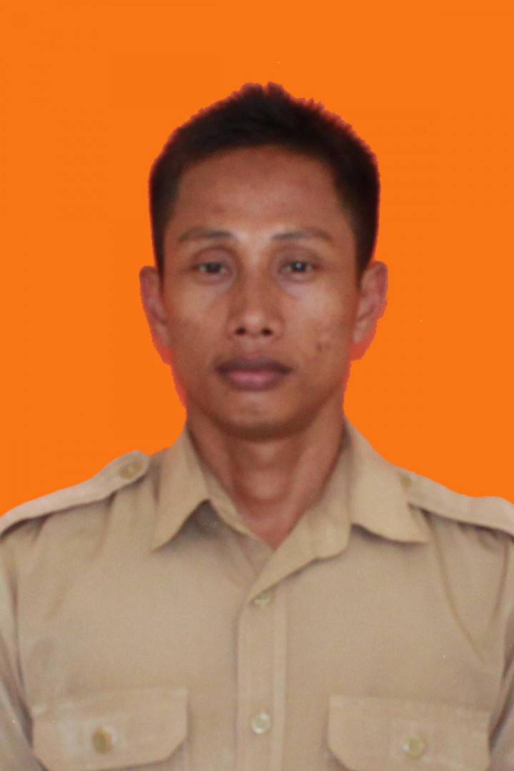 DARWIS