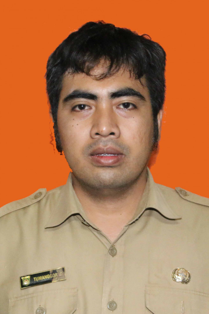 TUMANGGOR CHRISMANUEL, AMD.