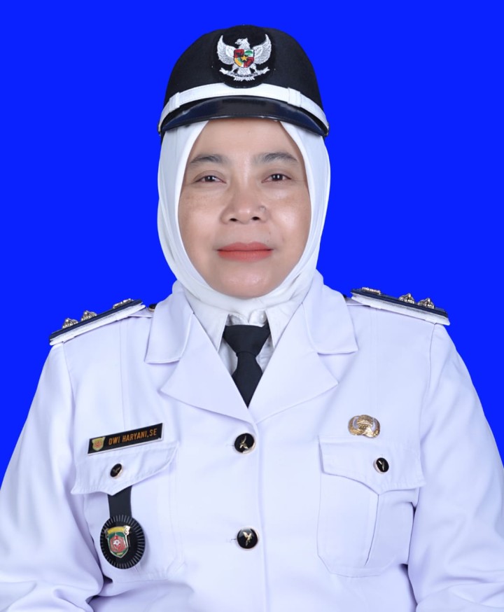 DWI HARYANI, SE