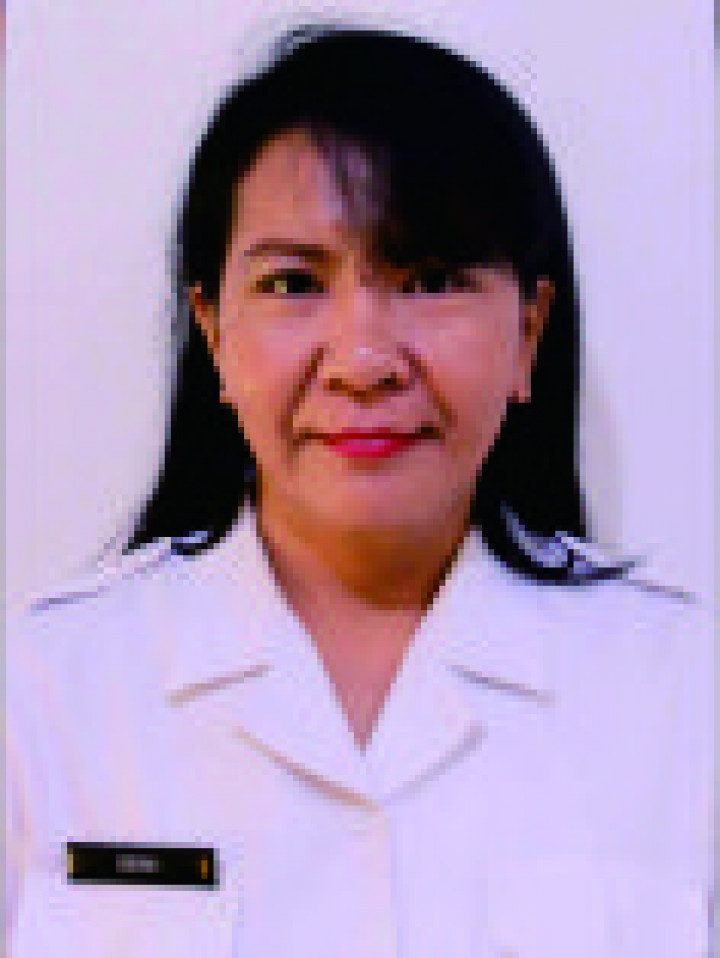 Erni