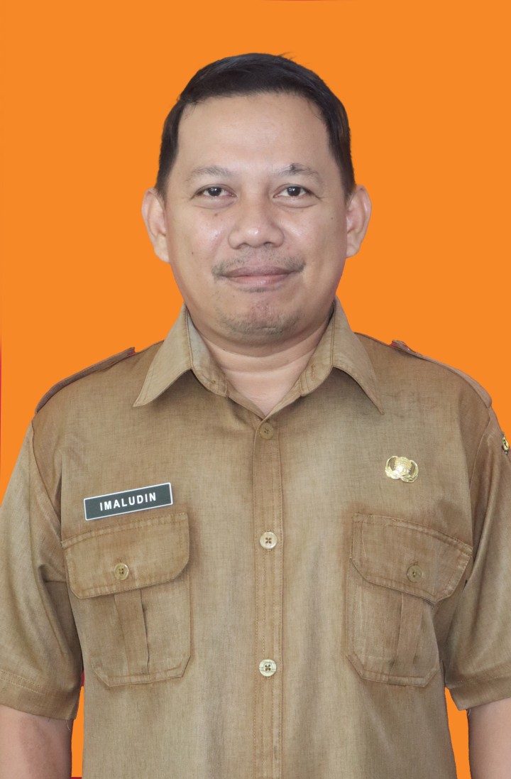 IMALUDIN.SE