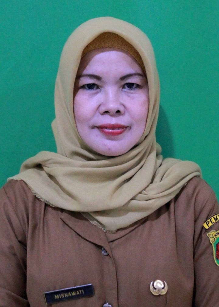 MISNAWATI, SE