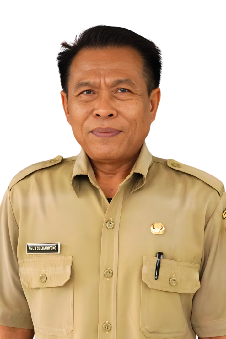 Agus Soeharyoko SE