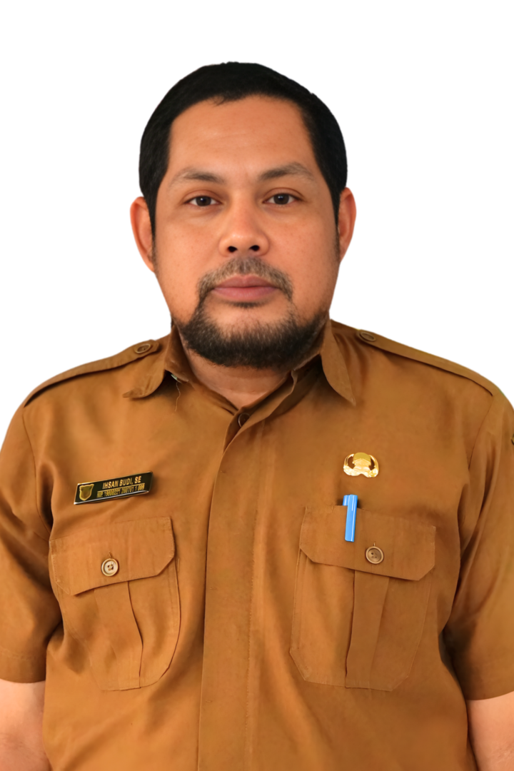 Ihsan Budi, SE