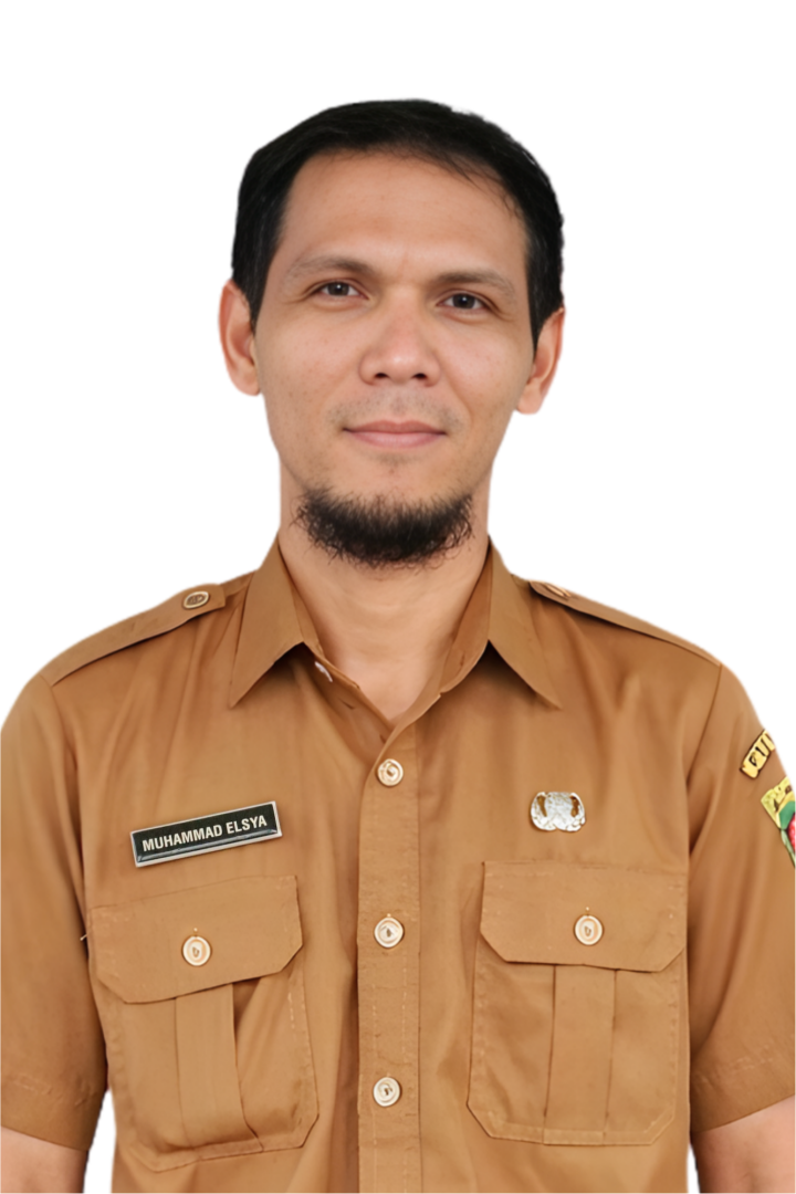 Muhammad Elsya