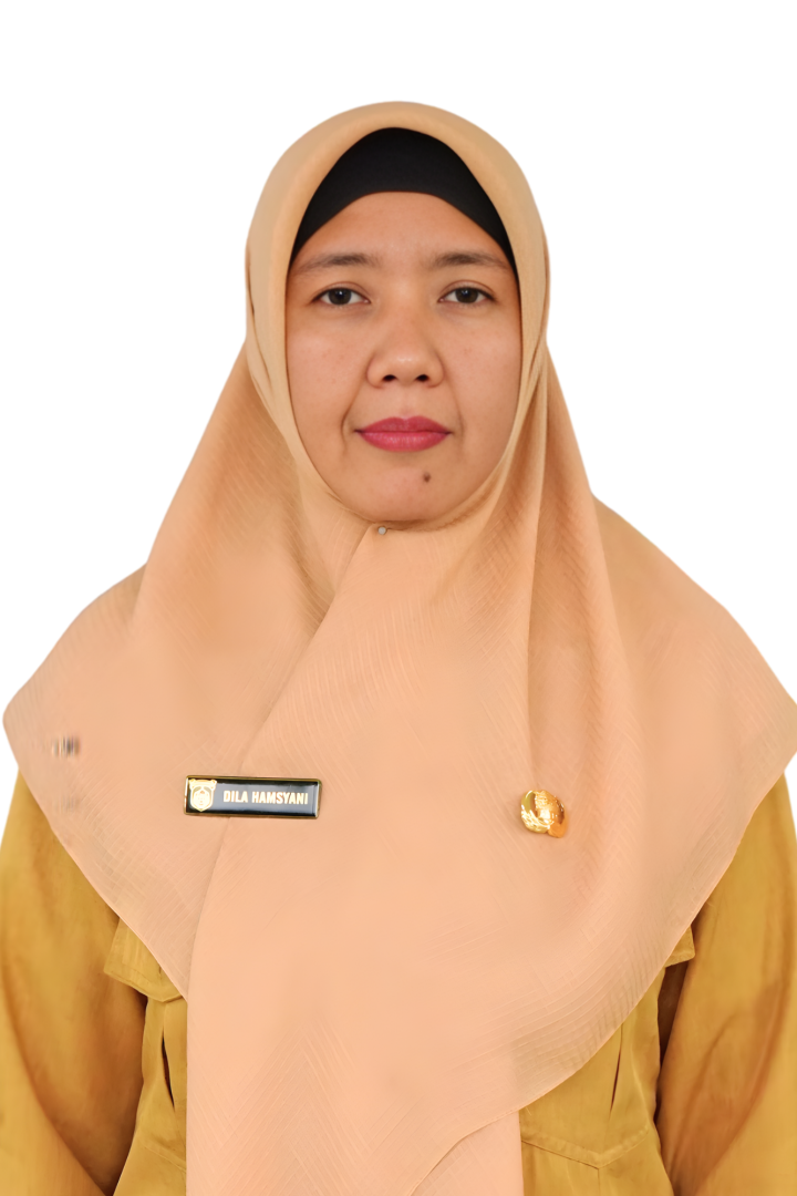 Nurmisdila Hamsyani, S.Hut