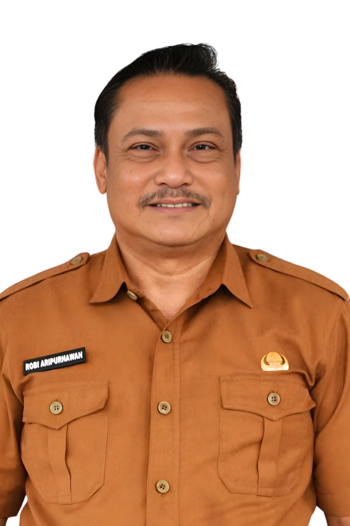 ROBI ARIPURNAWAN, SE