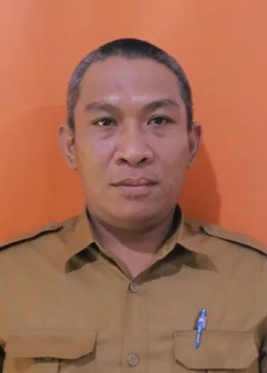 HENDRYANUR 