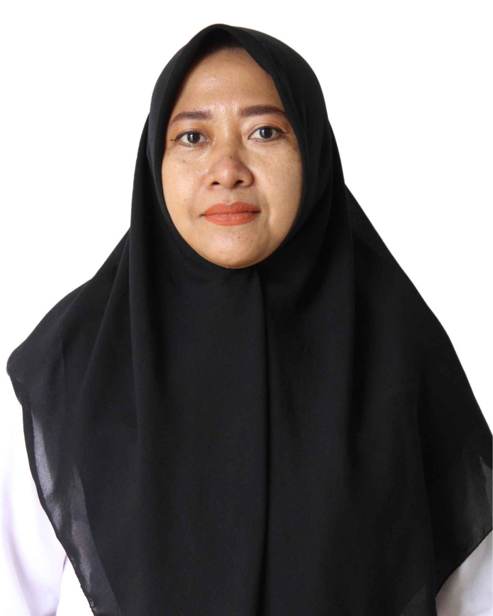 Rumini