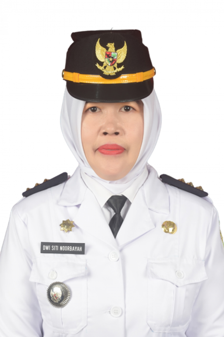 Dwi Siti Noorbayah, S.Sos., M.Si