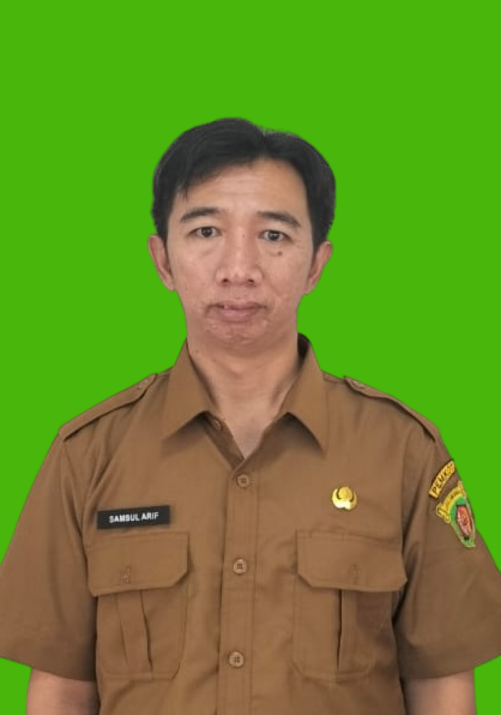 SAMSUL ARIF