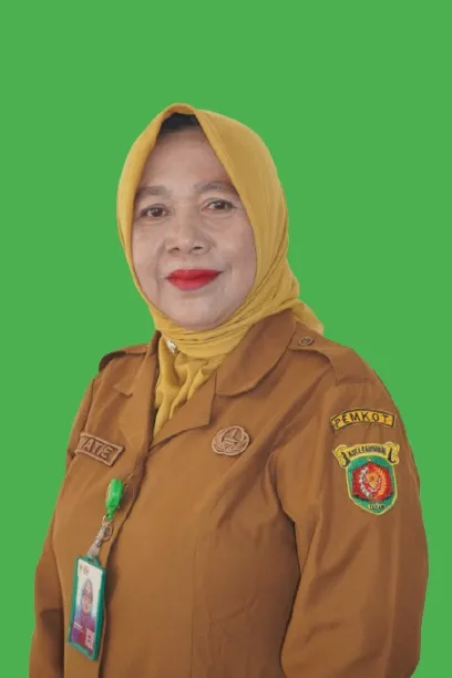 HJ. ERNIWATIE, S.E., M.Si