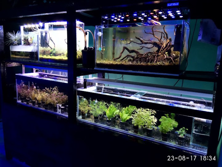 PONDOK AQUATIC