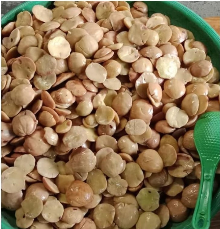 JENGKOL LALA